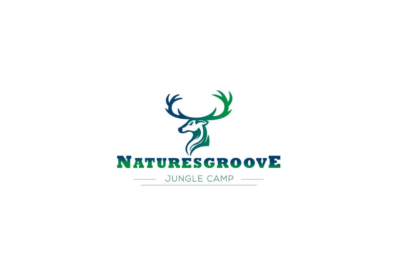 NaturesGroove Jungle Camp Logo